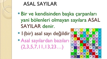 Asal Sayılar Konu Anlarımı ve Testleri